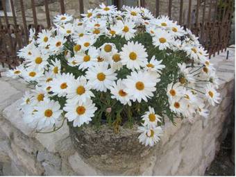 Bed & Breakfast Maison De Marguerite