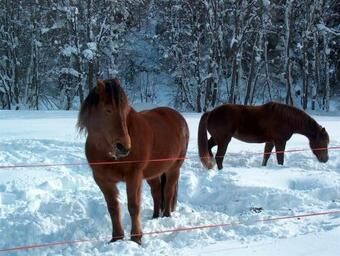 Apartamento Gad� 2