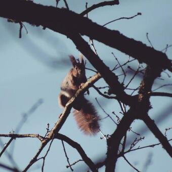 Apartamento Ferienwohnung ?j�del?