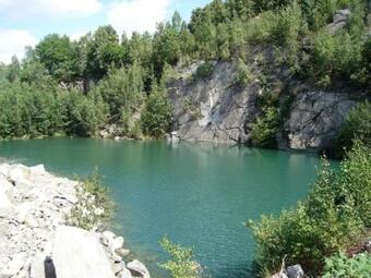 Cottage Forest Wellness Muna