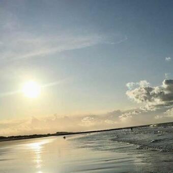 Apartamento Les Terrasses2