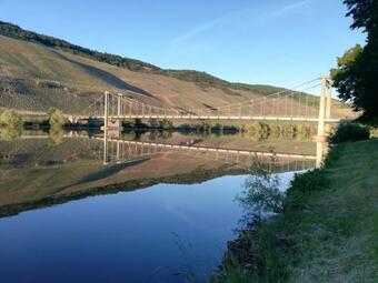 Sonnenufer Apartment & Moselwein