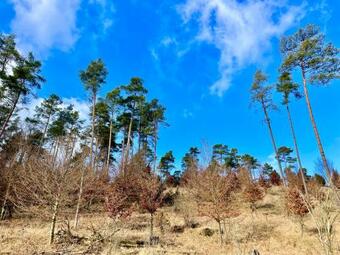 Blue-edition Greenland