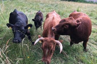 Apartment Panoramablick