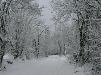 Apartamento Penzion Na Habe?i