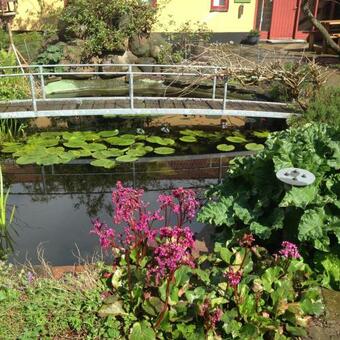 Apartamento Country Flat