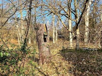 Holiday Home R�rvig XV