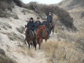 Bed & Breakfast Tvillinggaard Thy