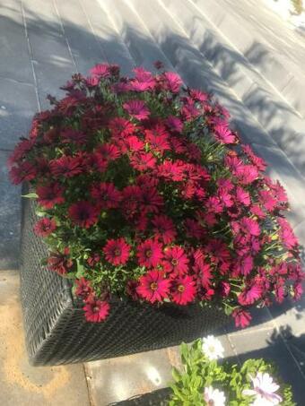 Bed & Breakfast Kabyssen