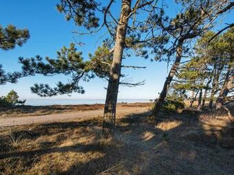 Holiday Home Tarm Lviii