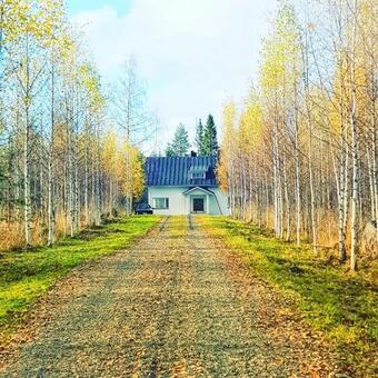Country House In The Forest