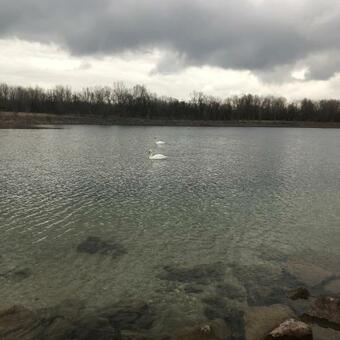 Hostal Asiatisches Landhaus