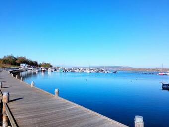 Ferienhaus Am Geiseltalsee
