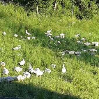 Apartamento Am Hohestein