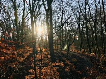 Apartamento Deichappartement-br�ggen