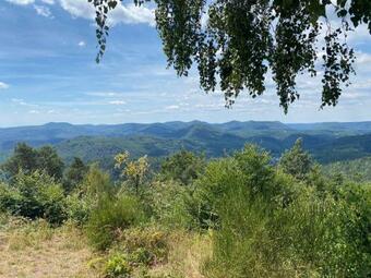 Apartamento Ferienwohnung Burkhart