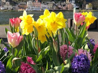 Apartamento Ferienwohnungen Eberhard, Altes Winzerhaus