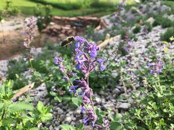 Apartamento Honiggarten