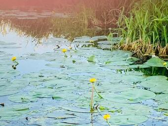 Hostal Ausflugsrestaurant & Pension Aalbude