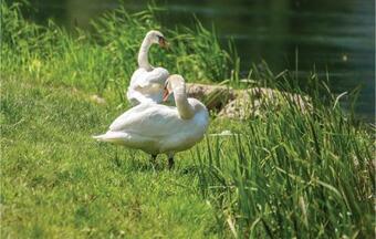 Amazing Home In Ogulin With Outdoor Swimming Pool, Sauna And 2 Bedrooms