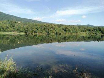 Lake House Silver Pine