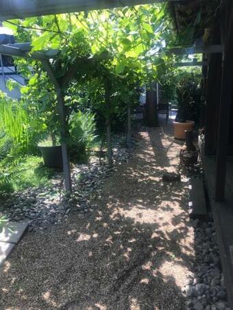 Apartamento Kunsthaus Mit Gartensauna