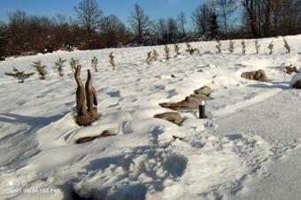 Pool Villa Little Heaven