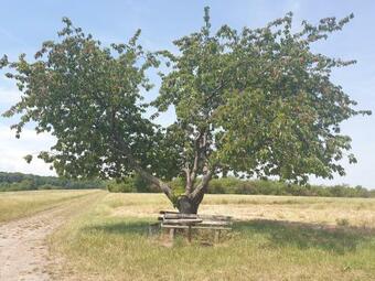 Apartamento Ferienwohnung Am Huywald