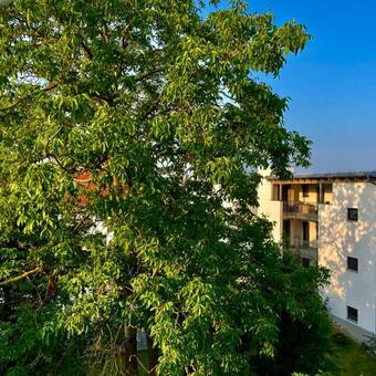 Apartamento Die Heinrich19 Donaustauf Cc