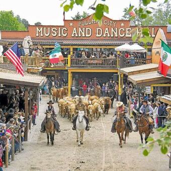 Apartamento Fewo Am Alten Holzplatz