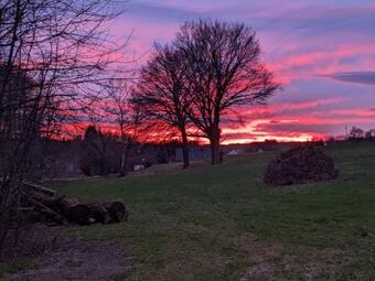 Apartamento Des Wanderers Ruh Fam. Houben