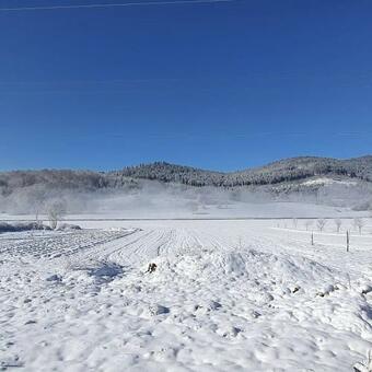 Apartmani Fenestra Tesla I Faust