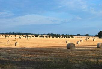 Apartamento Kulturfreizeiten Ferienwohnung