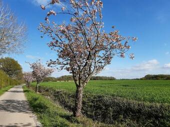 Apartamento Landhaus Esgrus - Wohnung Landblick