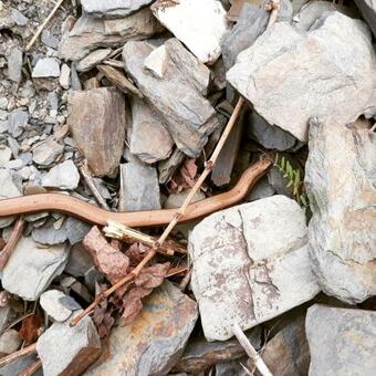 Apartamento Ferienwohnungen Lithos