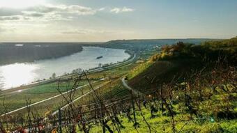 Apartamento Ferienwohnung Landskrone Oppenheim