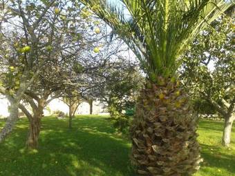 Vivienda Vacacional Casa Fidel