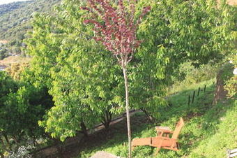 Hotel H�tel Le Niobel