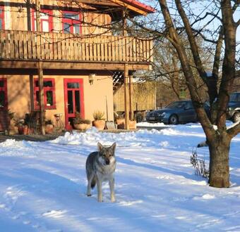 Hostal Landhof Zur Meierei