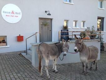 Hostal Haus & Hof Guest House