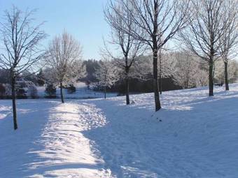 Bed & Breakfast Chateau De Savennes - Caveau De Sabrage
