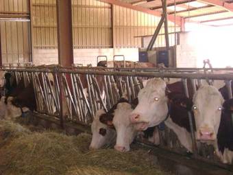 Bed & Breakfast La Ferme De La Velle