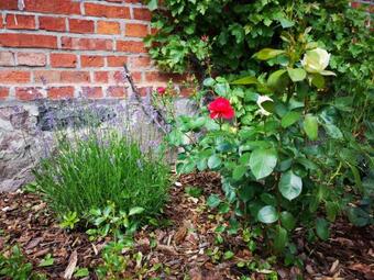 Agroturismo Nussbaumhof Mit Koppel