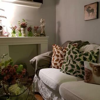 Hostal Patakh�z Nagyb�rzs�ny