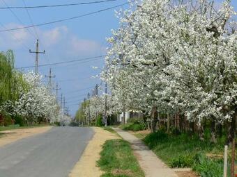 Hostal �l? Tisza Vend�gh�z