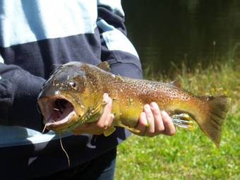 Agroturismo Grundnerhof