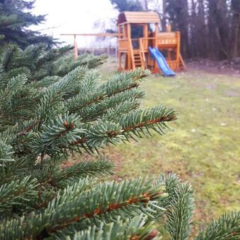 Apartamento T�nd�rkert