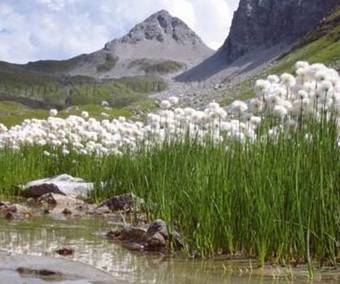 Apartamento Gehrnerhof