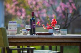 Apartamento Sz�lkai V�lyogh�z Vend�gh�z