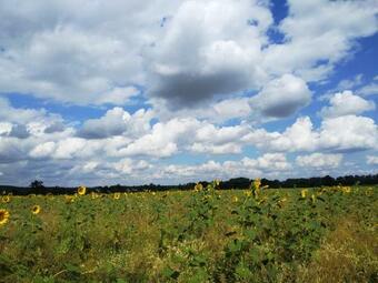 Apartamento Altstadt-insel
